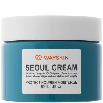 Crème Seoul WAYSKIN 50ml