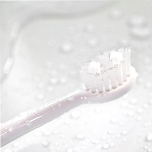 Spotlight Oral Care Sonic Toothbrush Replacement Heads